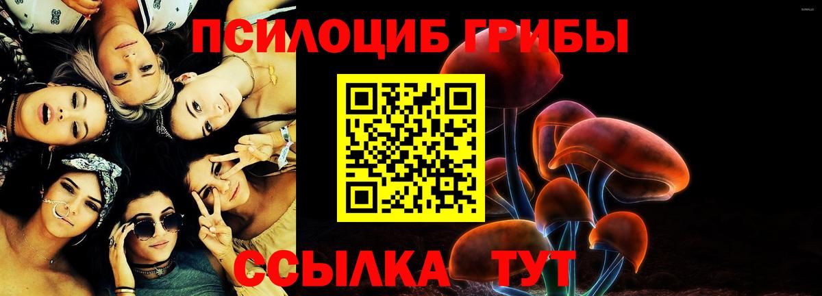 Галлюциногенные грибы Cubensis Кизилюрт